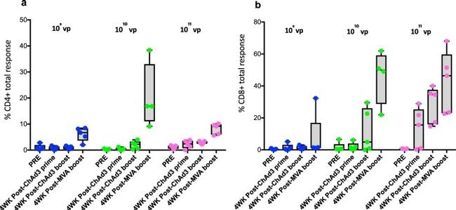 CD4 Antibody in Flow Cytometry (Flow)