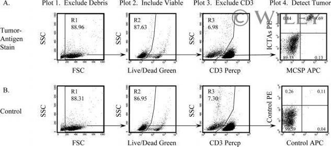 Tyrosinase Antibody in Flow Cytometry (Flow)