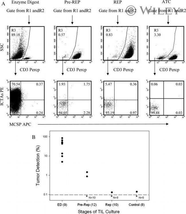 Tyrosinase Antibody in Flow Cytometry (Flow)