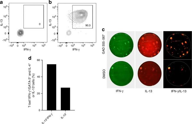 CD14 Antibody in Flow Cytometry (Flow)