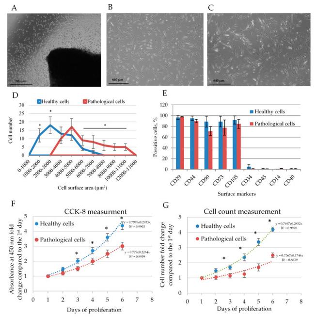 CD105 Antibody in Flow Cytometry (Flow)