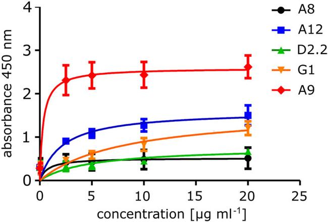 6x-His Tag Antibody in ELISA (ELISA)