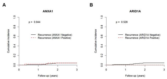 Annexin A1 Antibody in Immunohistochemistry (IHC)