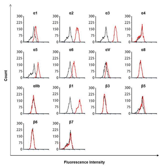 ITGA8 Antibody in Flow Cytometry (Flow)