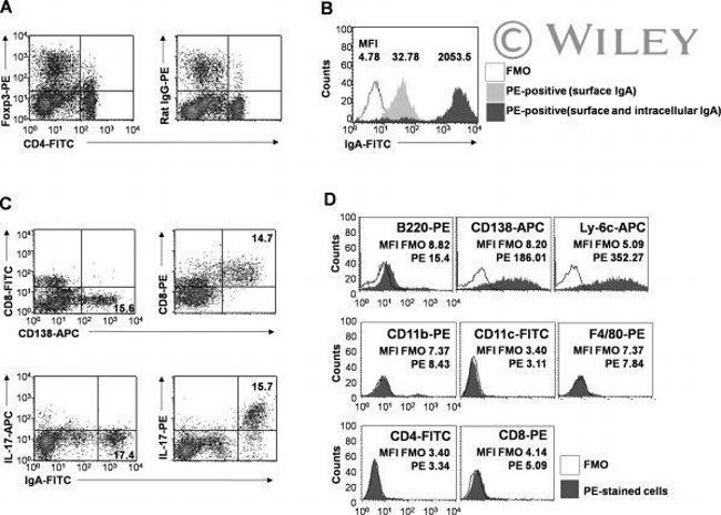 IgA Antibody in Flow Cytometry (Flow)