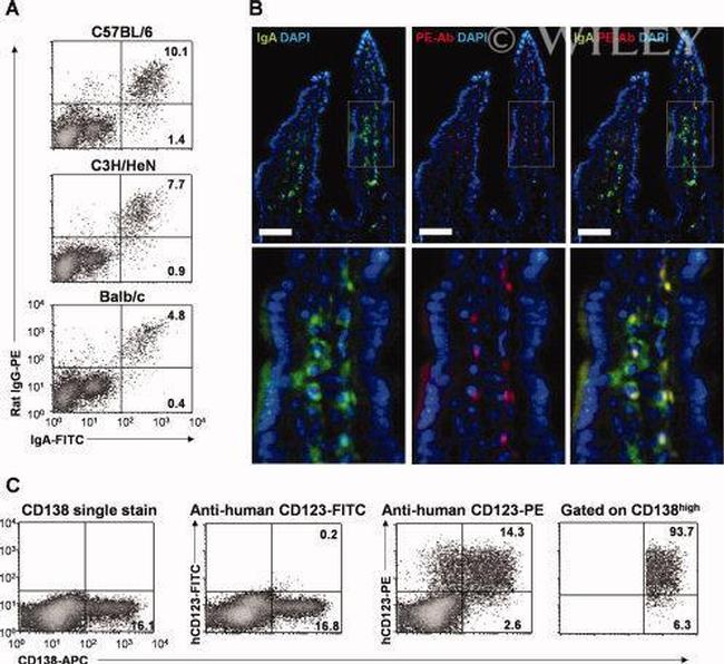 CD123 Antibody in Flow Cytometry (Flow)