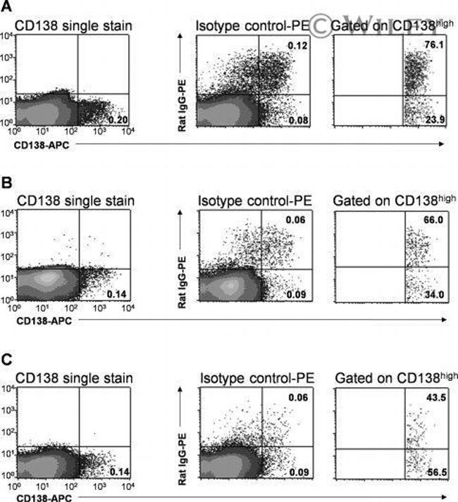 IgA Antibody in Flow Cytometry (Flow)