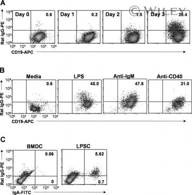 IgA Antibody in Flow Cytometry (Flow)