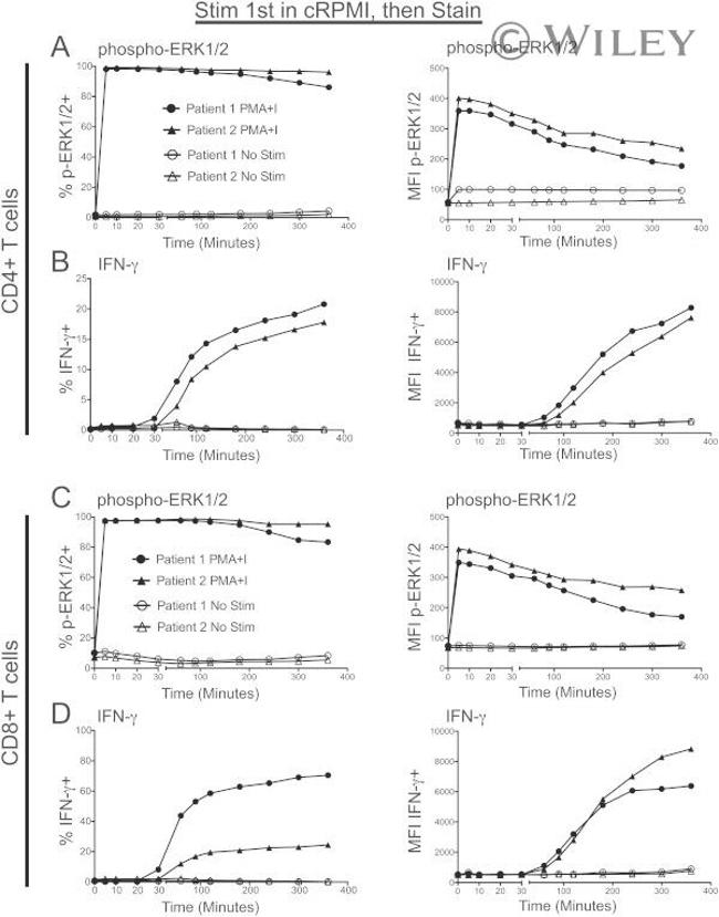 CD8 Antibody in Flow Cytometry (Flow)