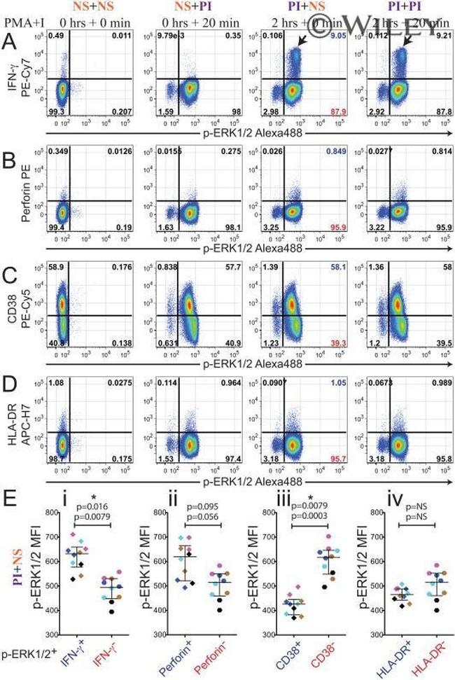 CD4 Antibody in Flow Cytometry (Flow)