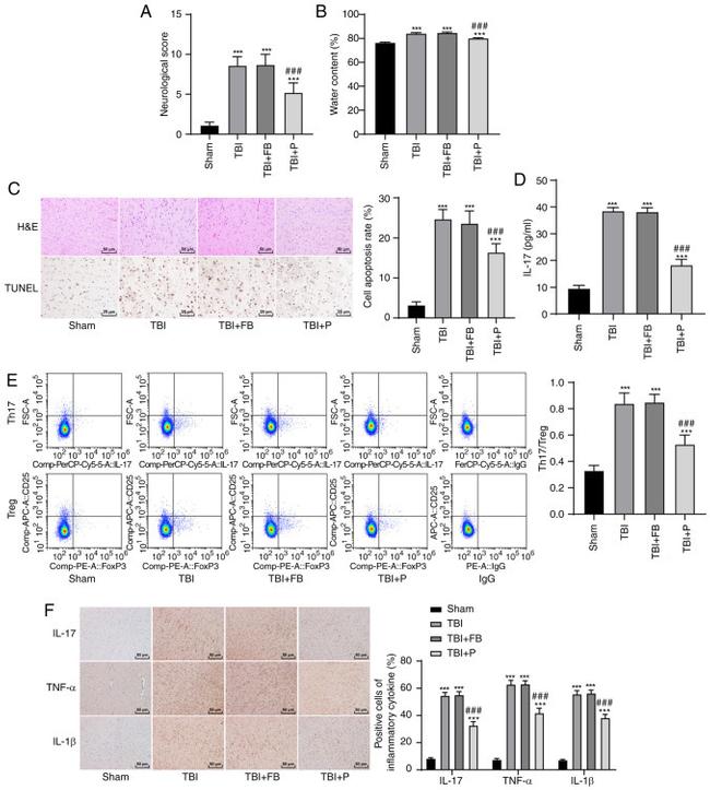 TNF alpha Antibody in Immunohistochemistry (IHC)