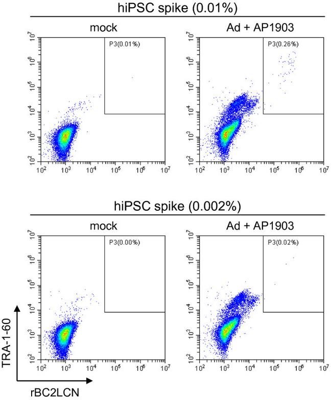 TRA-1-60 Antibody in Flow Cytometry (Flow)