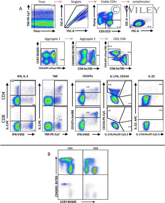 CD4 Antibody in Flow Cytometry (Flow)