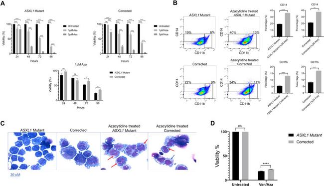 CD14 Antibody in Flow Cytometry (Flow)