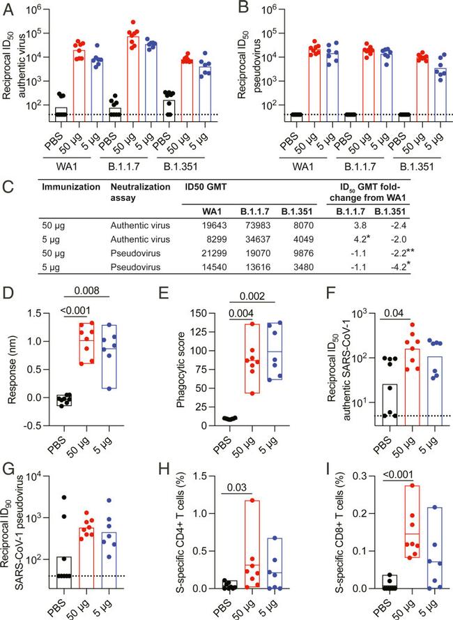 CD4 Antibody in Flow Cytometry (Flow)