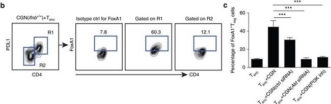 Rat IgG2a kappa Isotype Control in Flow Cytometry (Flow)