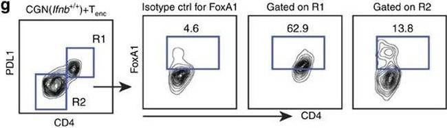 Rat IgG2a kappa Isotype Control in Flow Cytometry (Flow)