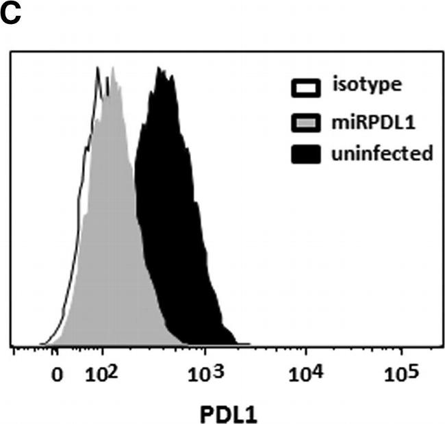 Mouse IgG1 kappa Isotype Control in Flow Cytometry (Flow)