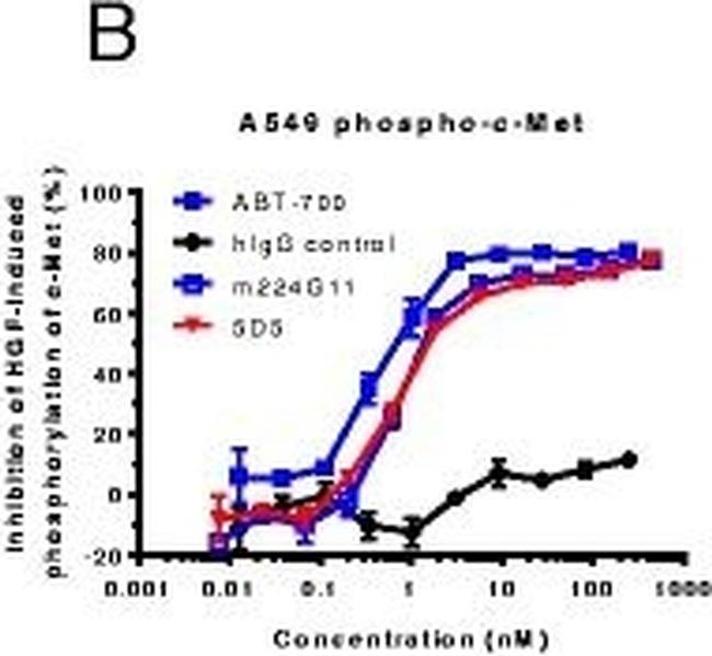 Human IgG (H+L) Cross-Adsorbed Secondary Antibody in ELISA (ELISA)