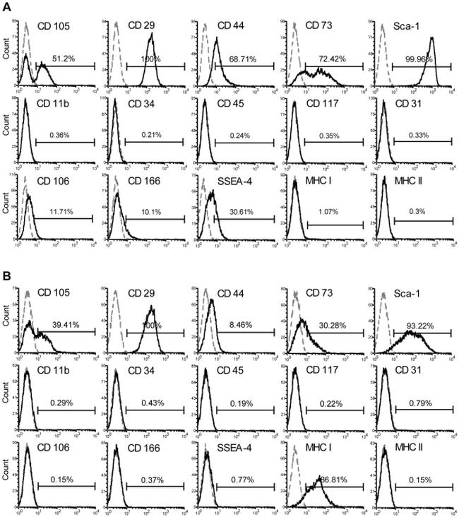 SSEA4 Antibody in Flow Cytometry (Flow)