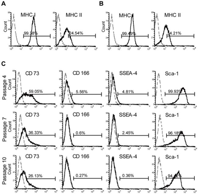 MHC Class I (H-2Kd/H-2Dd) Antibody in Flow Cytometry (Flow)