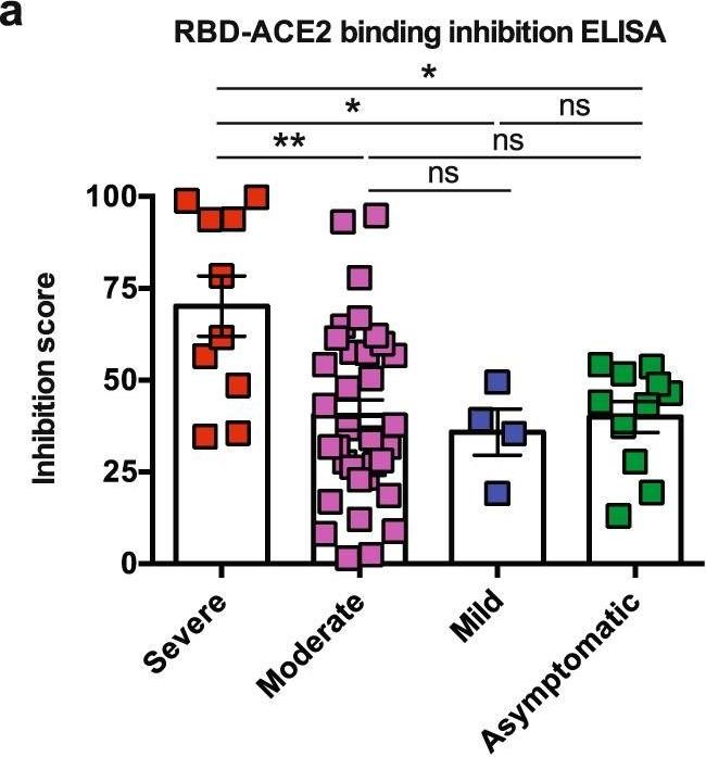 Mouse IgG Fc Secondary Antibody in ELISA (ELISA)