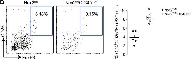 Rat IgG (H+L) Cross-Adsorbed Secondary Antibody in Flow Cytometry (Flow)