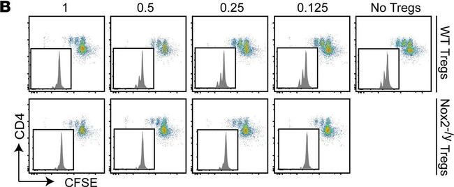 Rat IgG (H+L) Cross-Adsorbed Secondary Antibody in Flow Cytometry (Flow)