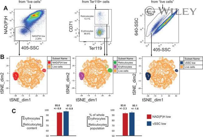 TER-119 Antibody in Flow Cytometry (Flow)