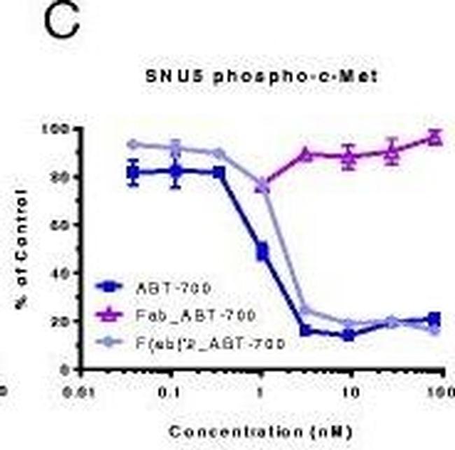 Human IgG (H+L) Cross-Adsorbed Secondary Antibody in ELISA (ELISA)