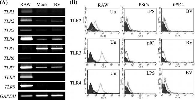 TLR4/MD-2 Complex Antibody in Flow Cytometry (Flow)