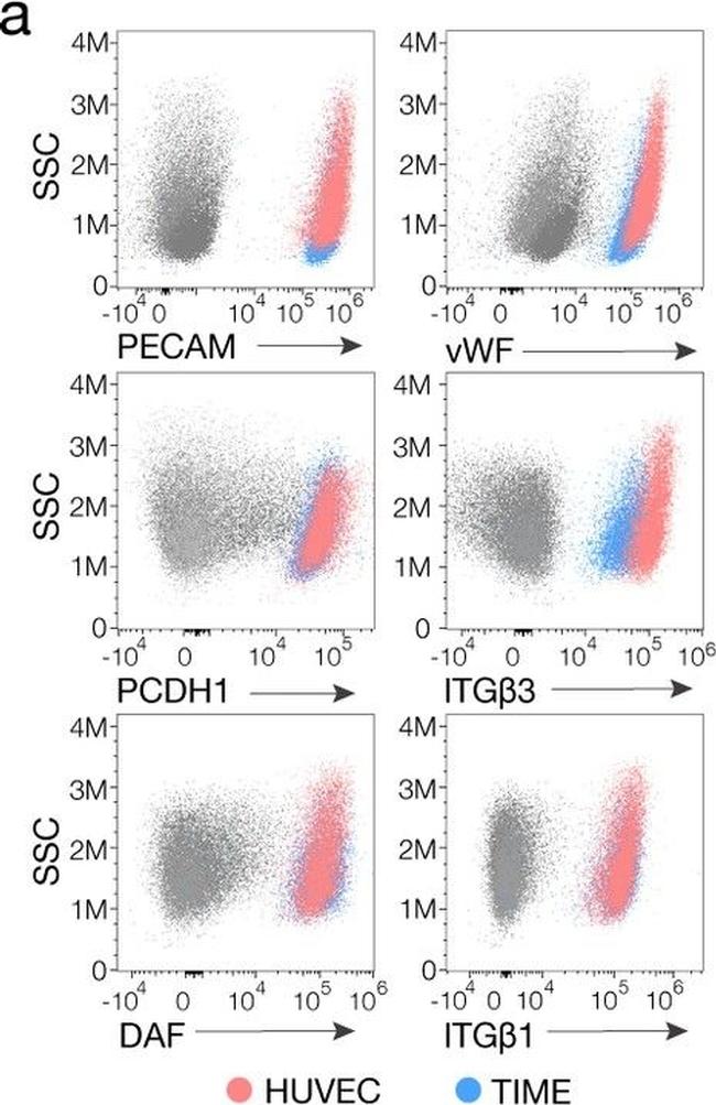 Human IgG (H+L) Cross-Adsorbed Secondary Antibody in Flow Cytometry (Flow)