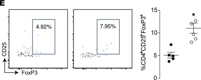 Rat IgG (H+L) Cross-Adsorbed Secondary Antibody in Flow Cytometry (Flow)