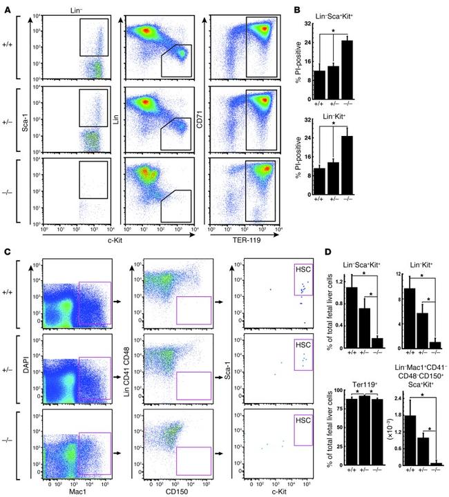 CD48 Antibody in Flow Cytometry (Flow)