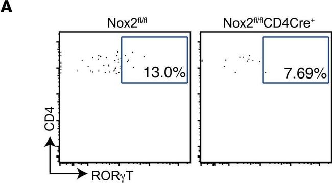 Rat IgG (H+L) Cross-Adsorbed Secondary Antibody in Flow Cytometry (Flow)