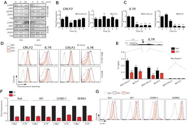 TSLP Receptor Antibody in Flow Cytometry (Flow)