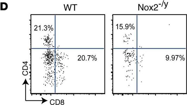 Rat IgG (H+L) Cross-Adsorbed Secondary Antibody in Flow Cytometry (Flow)