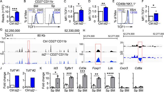 CD27 Antibody in Flow Cytometry (Flow)