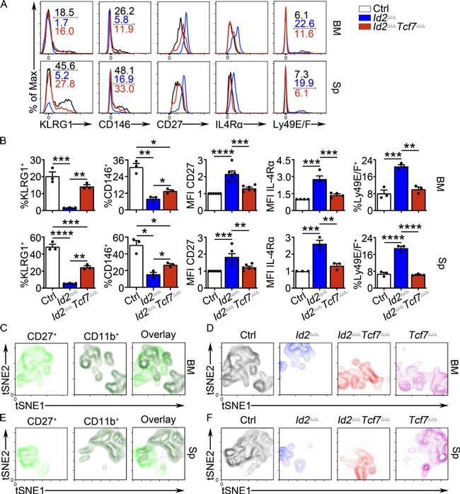 CD226 (DNAM-1) Antibody in Flow Cytometry (Flow)