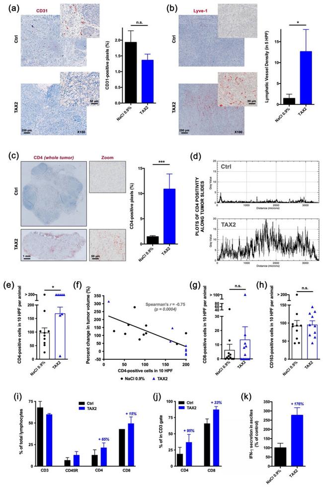 CD4 Antibody in Immunohistochemistry, Flow Cytometry (IHC, Flow)