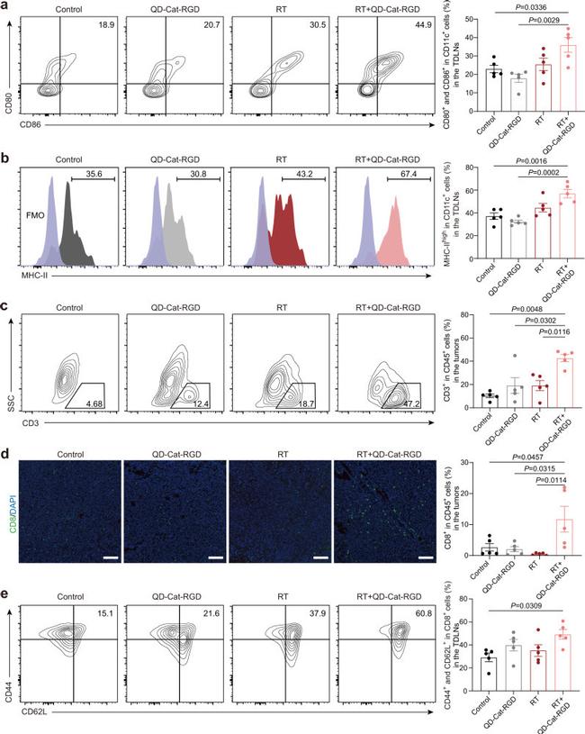 CD3e Antibody in Flow Cytometry (Flow)