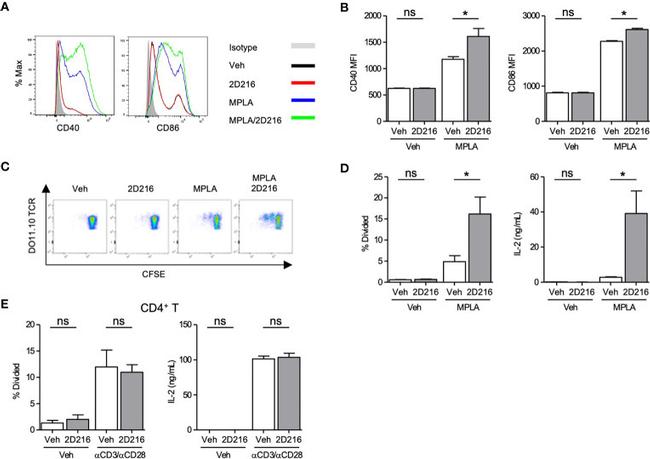 CD3 Antibody in Flow Cytometry (Flow)