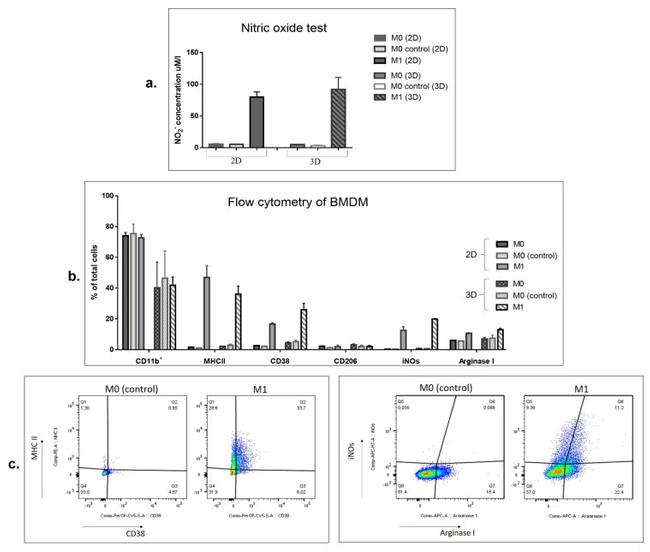 CD38 Antibody in Flow Cytometry (Flow)