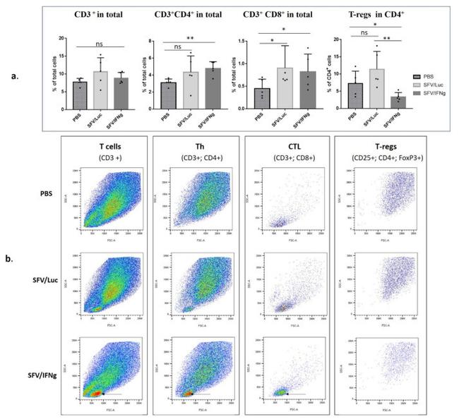 FOXP3 Antibody in Flow Cytometry (Flow)