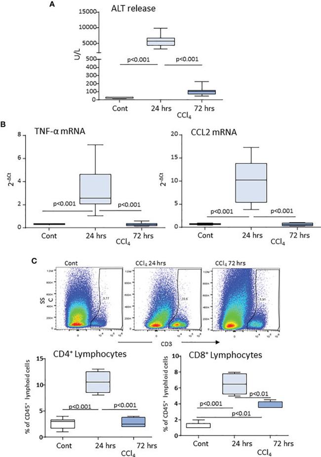 CD3 Antibody in Flow Cytometry (Flow)