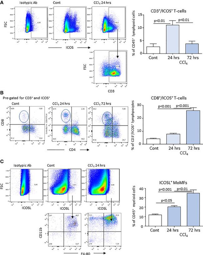 CD3 Antibody in Flow Cytometry (Flow)