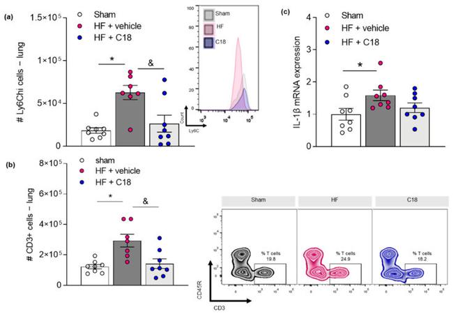 Ly-6C Antibody in Flow Cytometry (Flow)