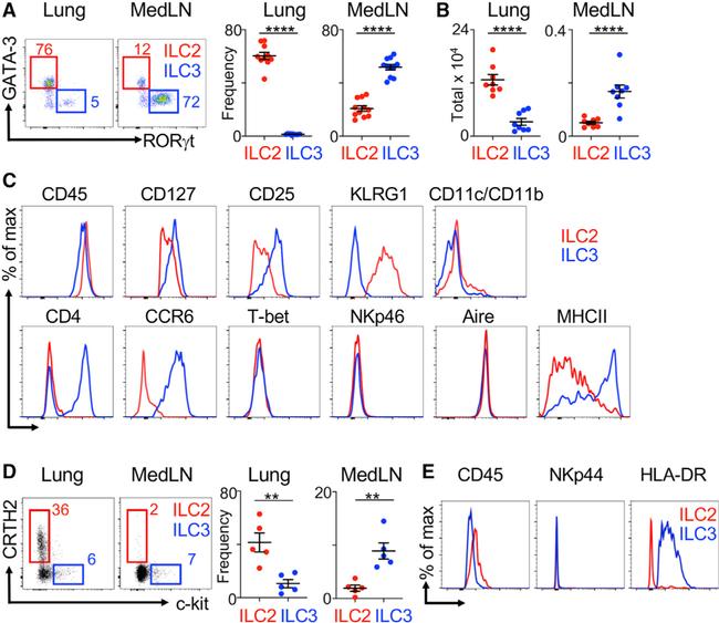 AIRE Antibody in Flow Cytometry (Flow)