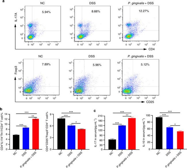 CD4 Antibody in Flow Cytometry (Flow)