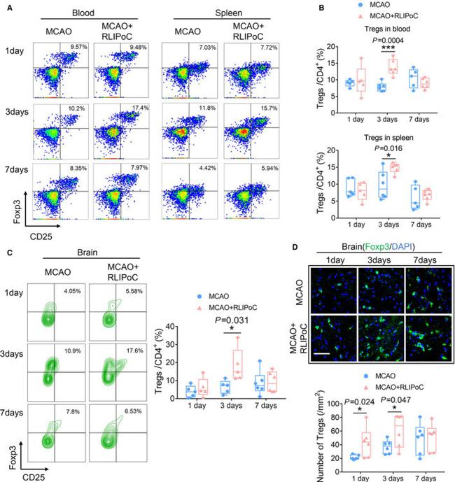 CD25 Antibody in Flow Cytometry (Flow)